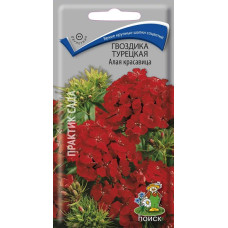 Гвоздика турецкая Алая красавица