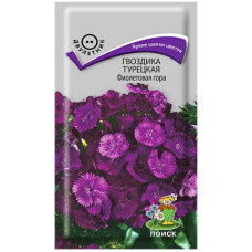 Гвоздика Турецкая Фиолетовая гора