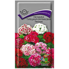 Гвоздика Турецкая карликовая Пиноккио