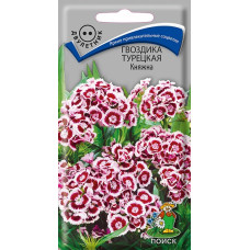 Гвоздика Турецкая Княжна