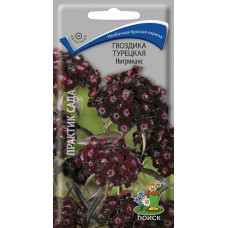Гвоздика турецкая Нигриканс