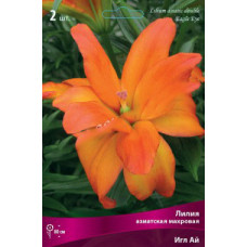 Лилия Игл Ай (азиатская махровая)