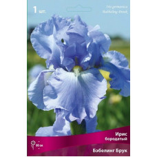 Ирис Бэбелинг Брук (бородатый)