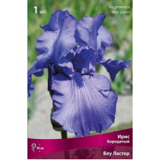 Ирис Блу Ластер (бородатый)