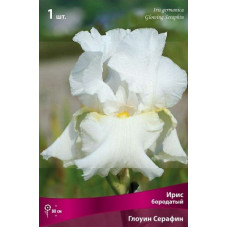 Ирис Глоуинг Серафин (бородатый)