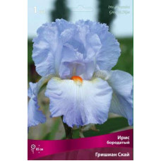 Ирис Гришиан Скайз (бородатый)