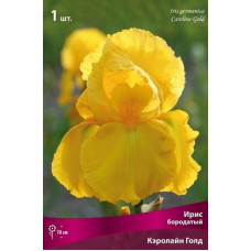Ирис Кэролайн Голд (бородатый)
