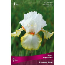 Ирис Хэллоуин Хало (бородатый)