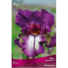 Ирис Маскарад (бородатый)