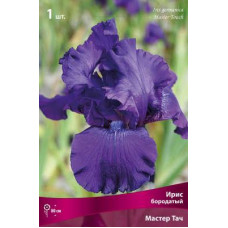 Ирис Мастер Тач (бородатый)