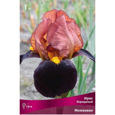 Ирис Момаквин (бородатый)