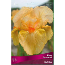 Ирис Вай Нот (бородатый)