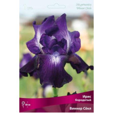 Ирис Виннер Сёкл (бородатый)