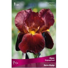 Ирис Вита Файр (бородатый)