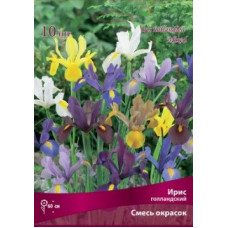 Ирис смесь окрасок (голландский)