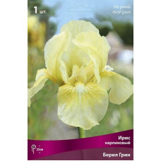 Ирис Берил Грин (карликовый)