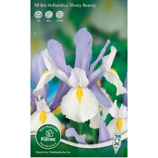 Ирис Сильвер Бьюти (голландский)