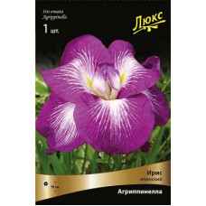 Ирис Агриппинелла (японский)