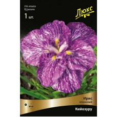 Ирис Кийозуру (японский)