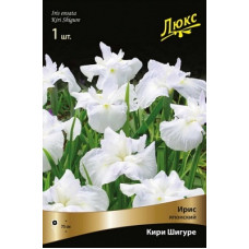 Ирис Кири Шигуре (японский)