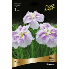 Ирис Когешо (японский)