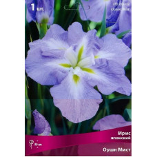 Ирис Оушн Мист (японский)