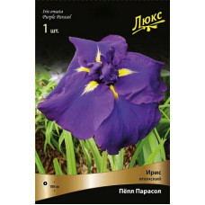 Ирис Пёпл Парасол (японский)