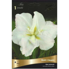 Ирис Вайт Ледиз (японский)