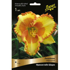 Лилейник гибридный Ирисистабл Шарм