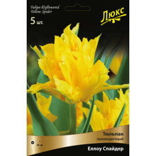 Тюльпан Йеллоу Спайдер (Серия ЛЮКС)