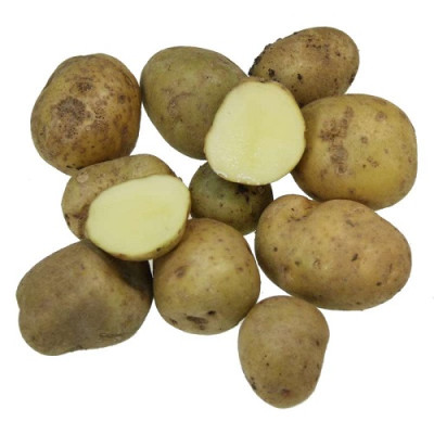 Картофель семенной Невский  (ЭЛИТА) (сетка 2 кг)