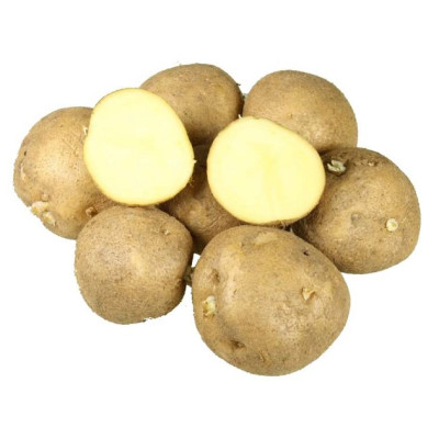 Картофель семенной Колобок (СУПЕРЭЛИТА) (сетка 2 кг)