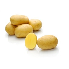 Картофель семенной Жуковский ранний   (сетка)