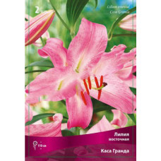 Лилия Каса Гранда