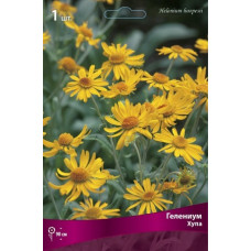 Гелениум Хупа (осенний)