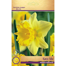 Нарцисс Кисс Ми (трубчатый)