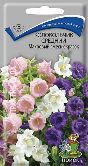 Колокольчик средний Махровый. Смесь окрасок купить с доставкой в ...