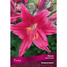 Лилия Коммитмент