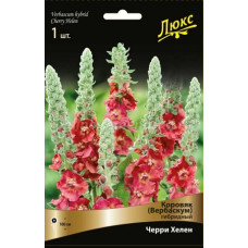 Коровяк Черри Хелен  Вербаскум (гибридный)