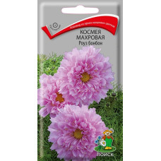 Космея махровая Роуз Бонбон