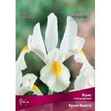 Ирис  Крим Бьюти (голландский)