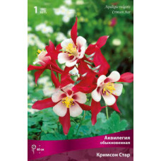 Аквилегия обыкновенная Кримсон Стар