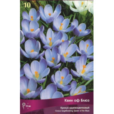 Крокус Квин оф Блюз