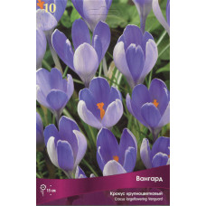 Крокус Вангард