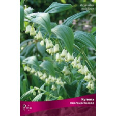 Купена многоцветковая