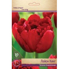 Тюльпан Лайон Кинг 