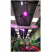 Фито-Панели светодиодные для досветки растений