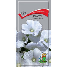 Лаватера Красотка белая