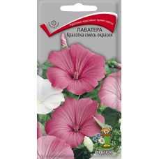 Лаватера Красотка смесь окрасок