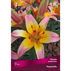 Лилия Ледилайк 